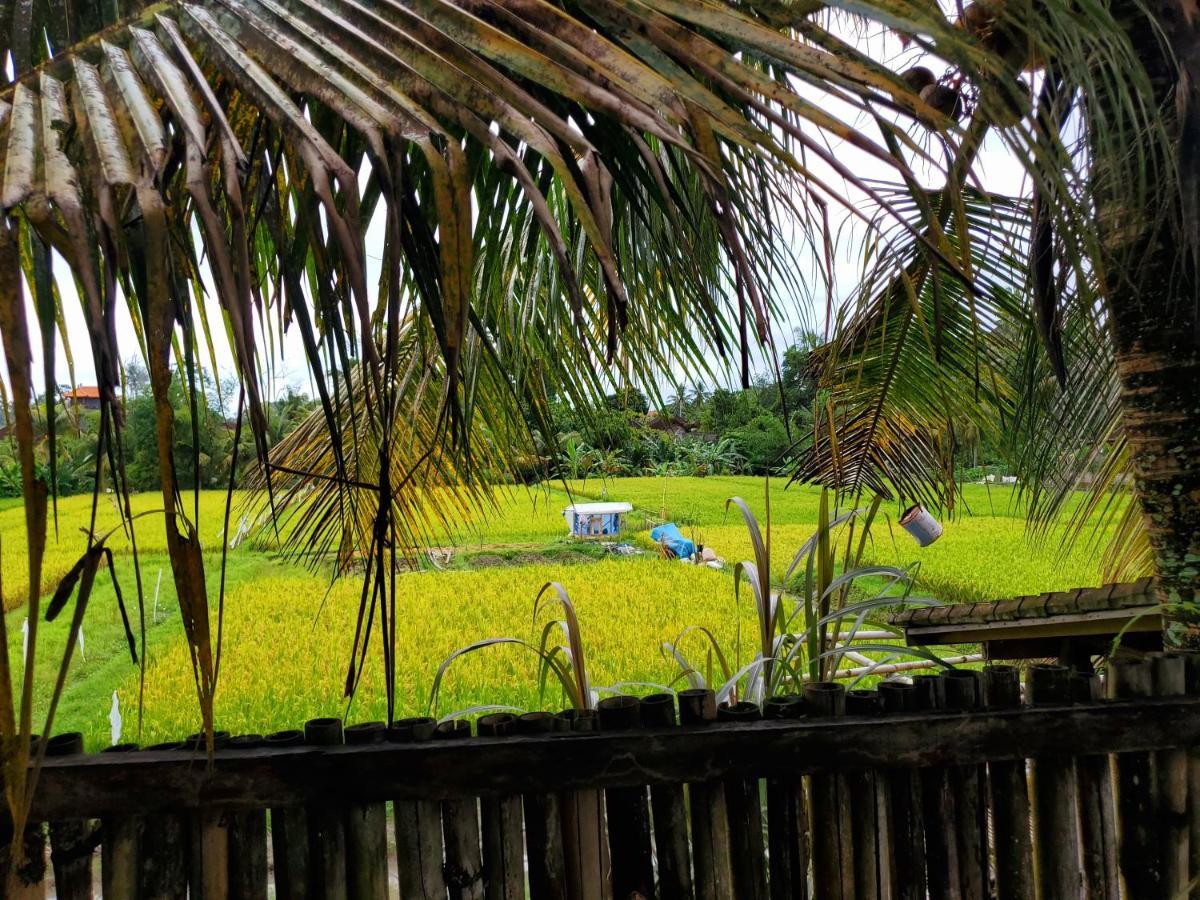 Kakau Villa 2 - Ubud 외부 사진
